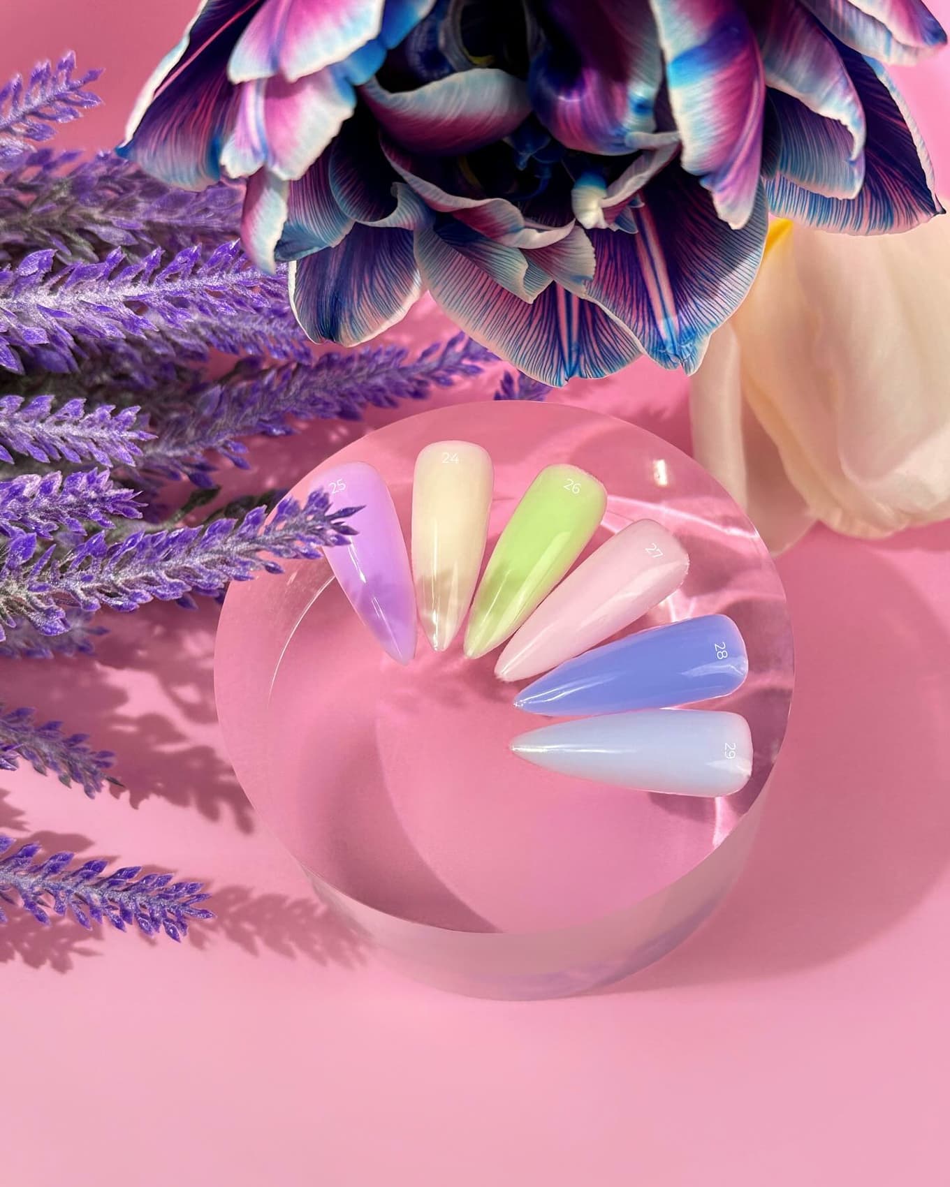 Edlen Water Acrygel Charm №24, 30 мл — 3