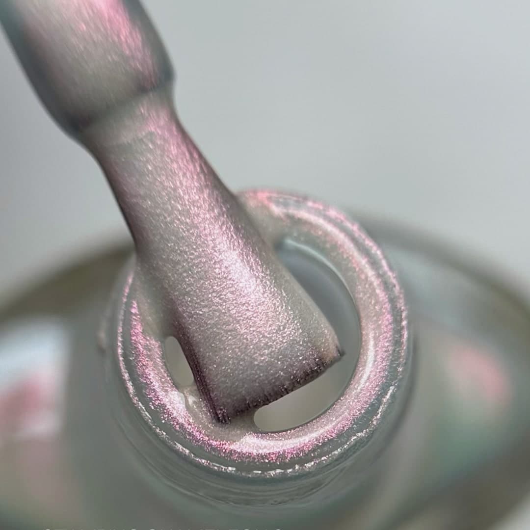 SAGA Professional лак-краска для стемпинга CHAMELEON 02 — 2