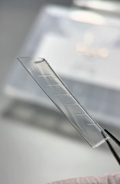 Верхние формы DARK, GOTHIC SQUARE — 2