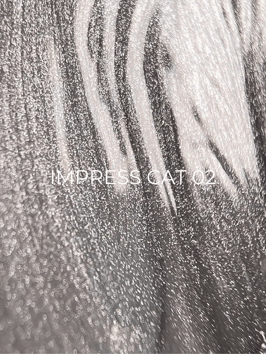 Edlen Impress cat eye №2, 9 мл — 2