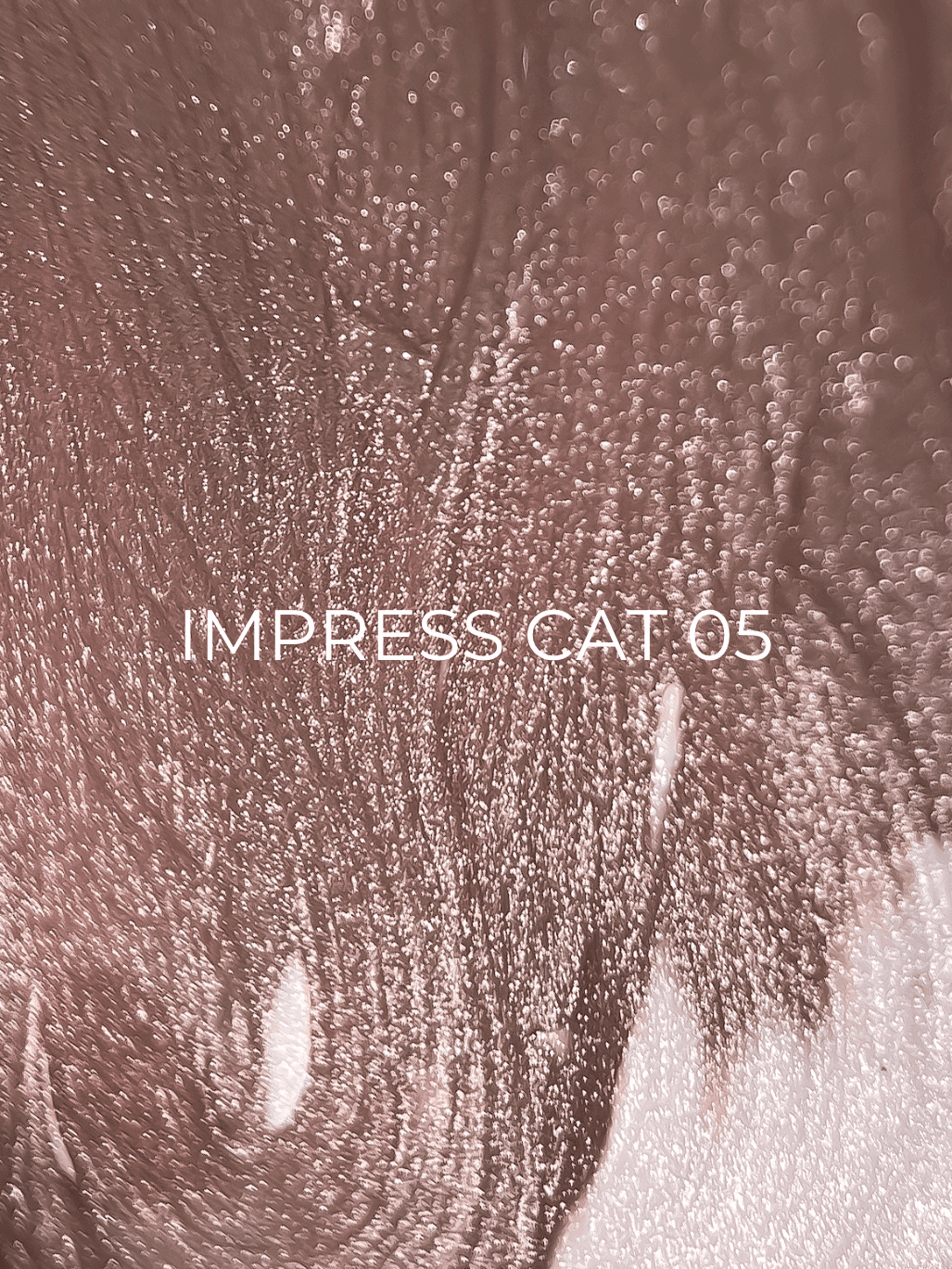 Edlen Impress cat eye №5, 9 мл — 2