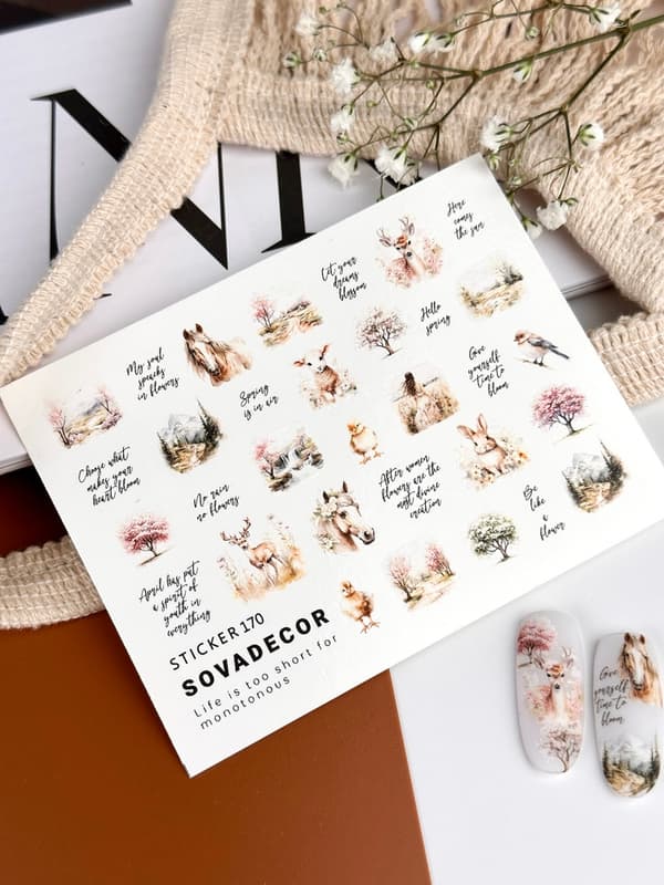 Слайдер-дизайн SOVA DECOR C170