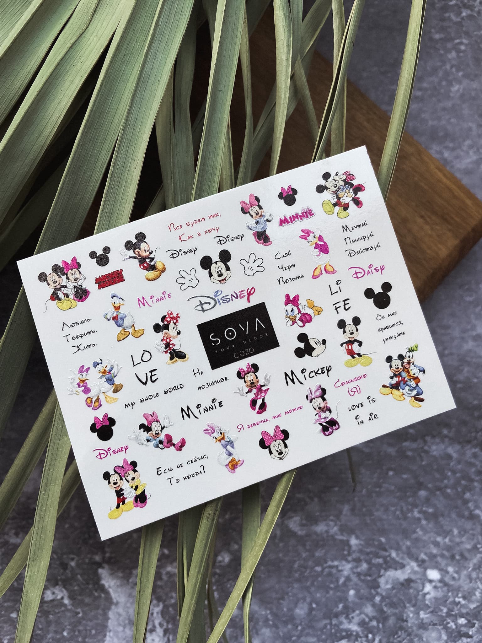 Слайдер-дизайн SOVA DECOR C020 — фото 1