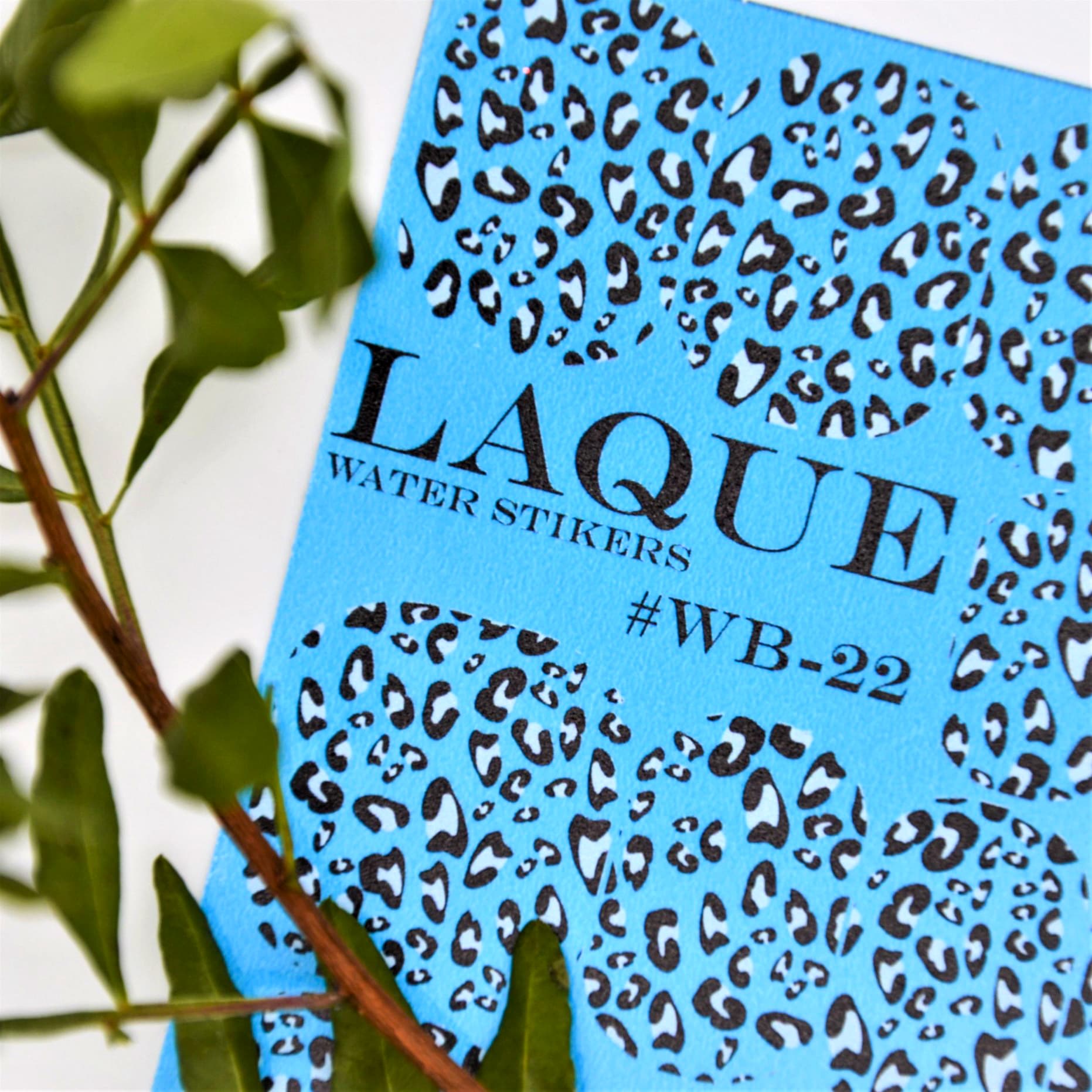 Слайдер Дизайн Laque Stikers № WB 22 — фото 1