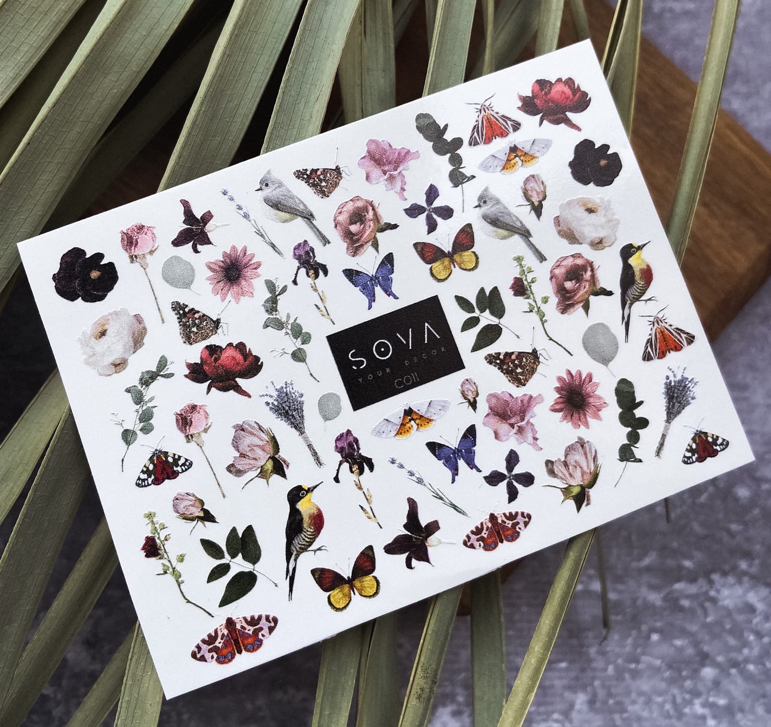 Слайдер-дизайн SOVA DECOR C011 — фото 1