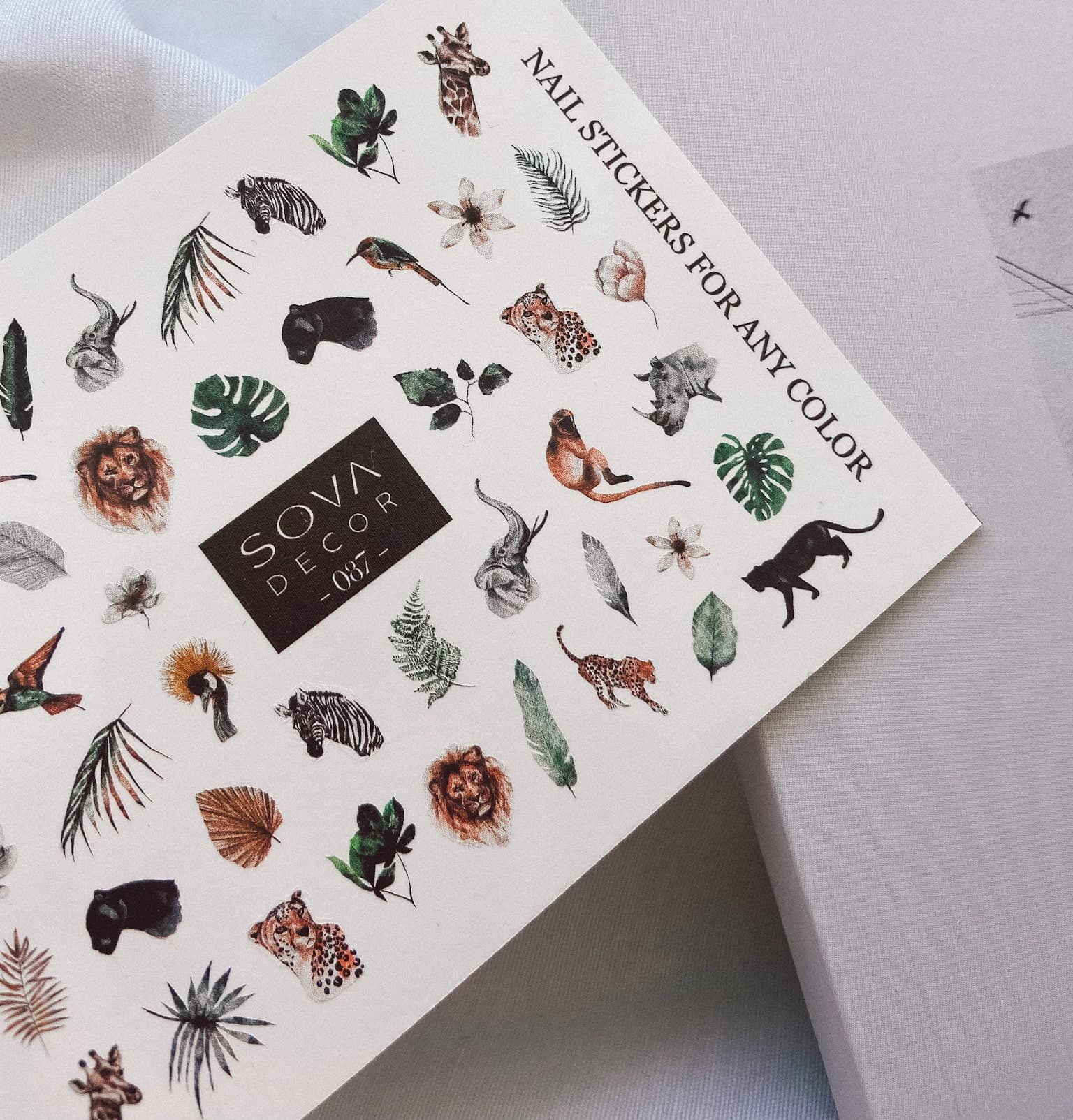 Слайдер-дизайн SOVA DECOR C087 — фото 1