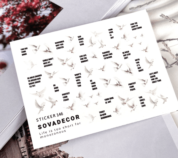 Слайдер-дизайн SOVA DECOR C146 — фото 1