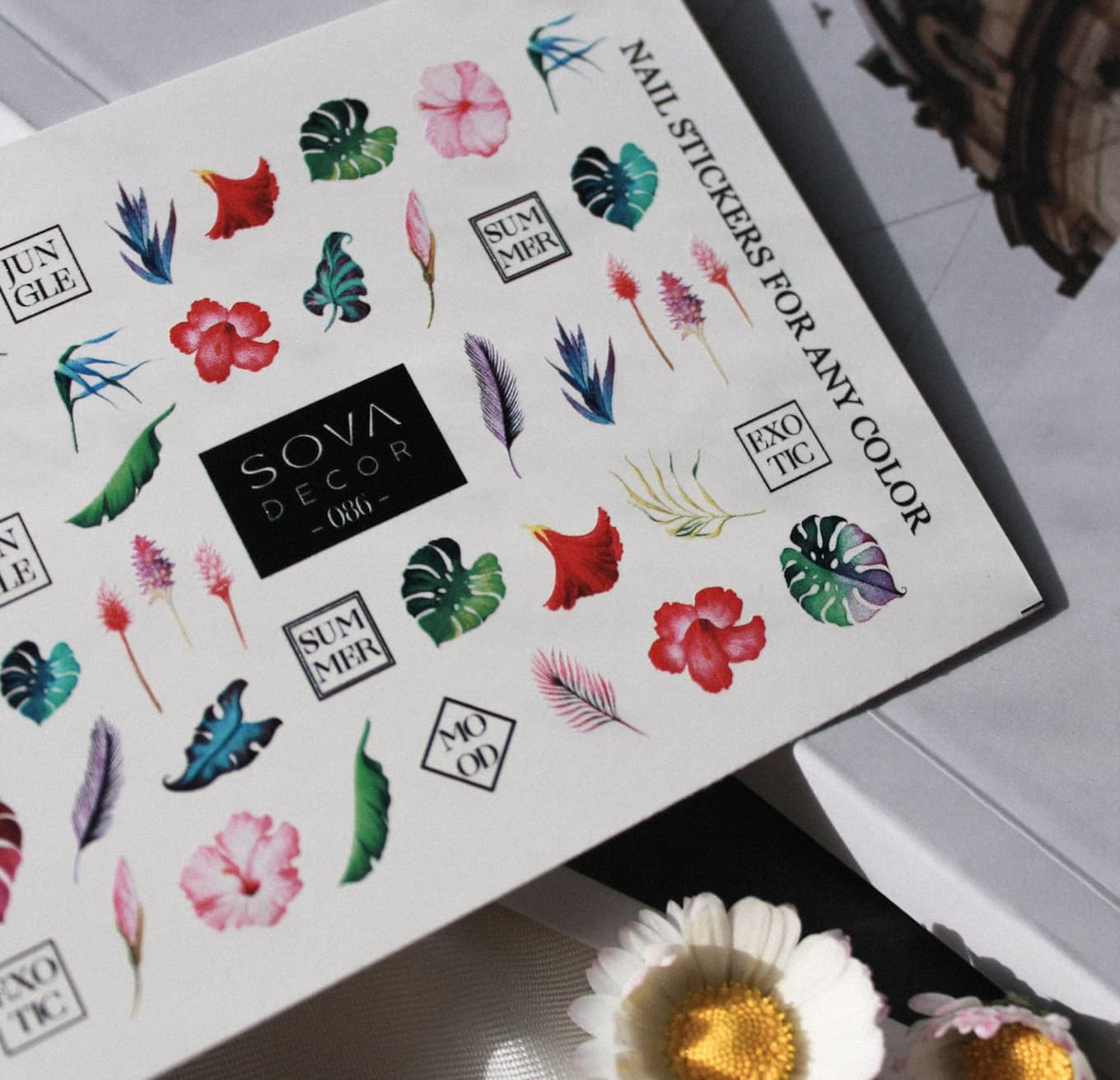 Слайдер-дизайн SOVA DECOR C086 — фото 1