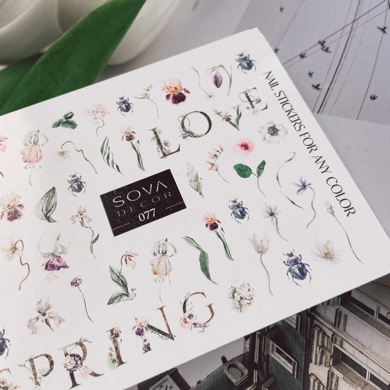 Слайдер-дизайн SOVA DECOR C077 — фото 1