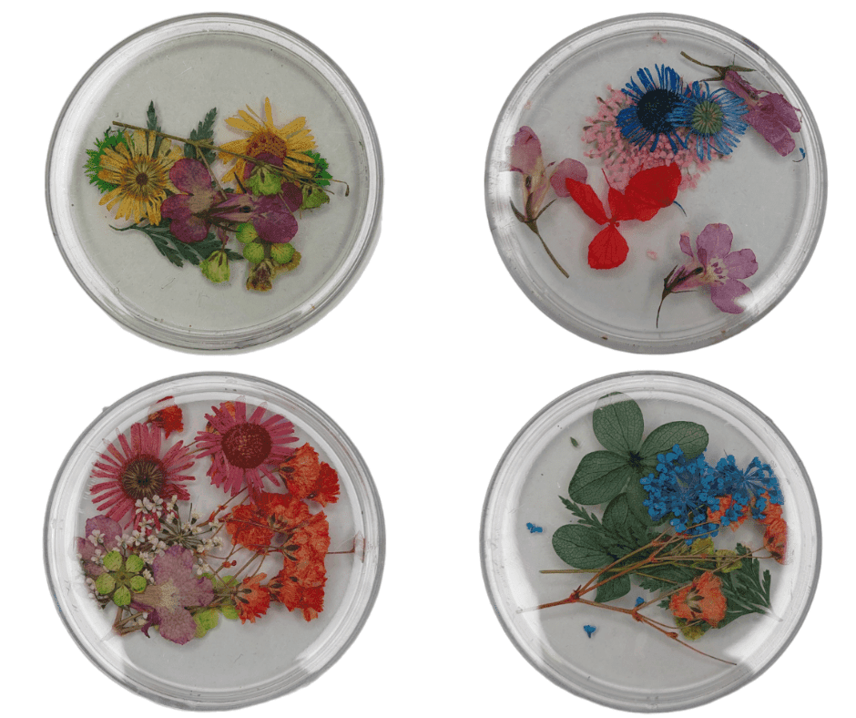 Набір сухоцвітів у плоскій баночці — фото 1